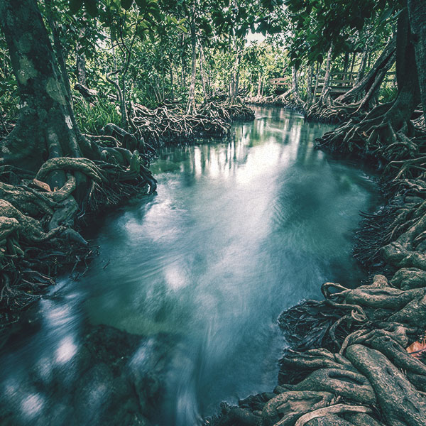 Caves & Jungle Pools Around Krabi - Explore with Sleep Easy Krabi