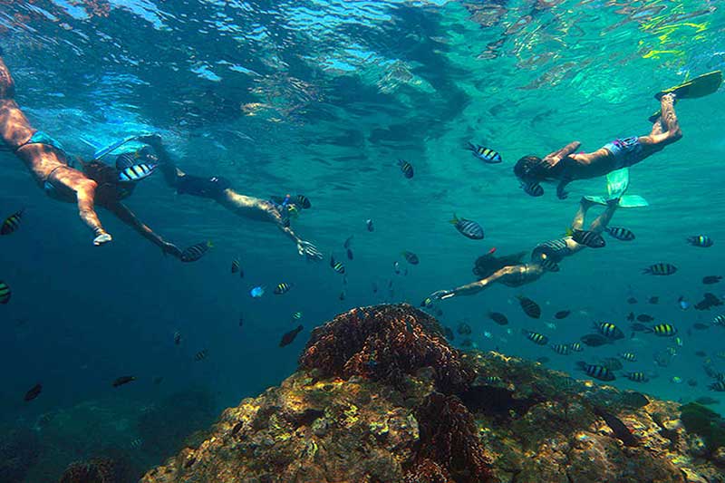 Diving & Snorkeling Krabi Dive the best sites in Krabi Sleep Easy Krabi